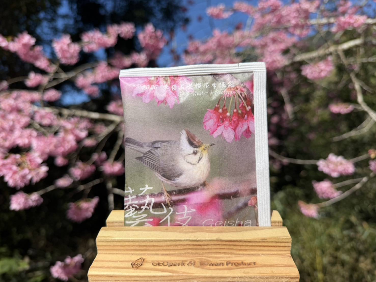 2026櫻花季限定藝伎 10g*3盒(15pcs)