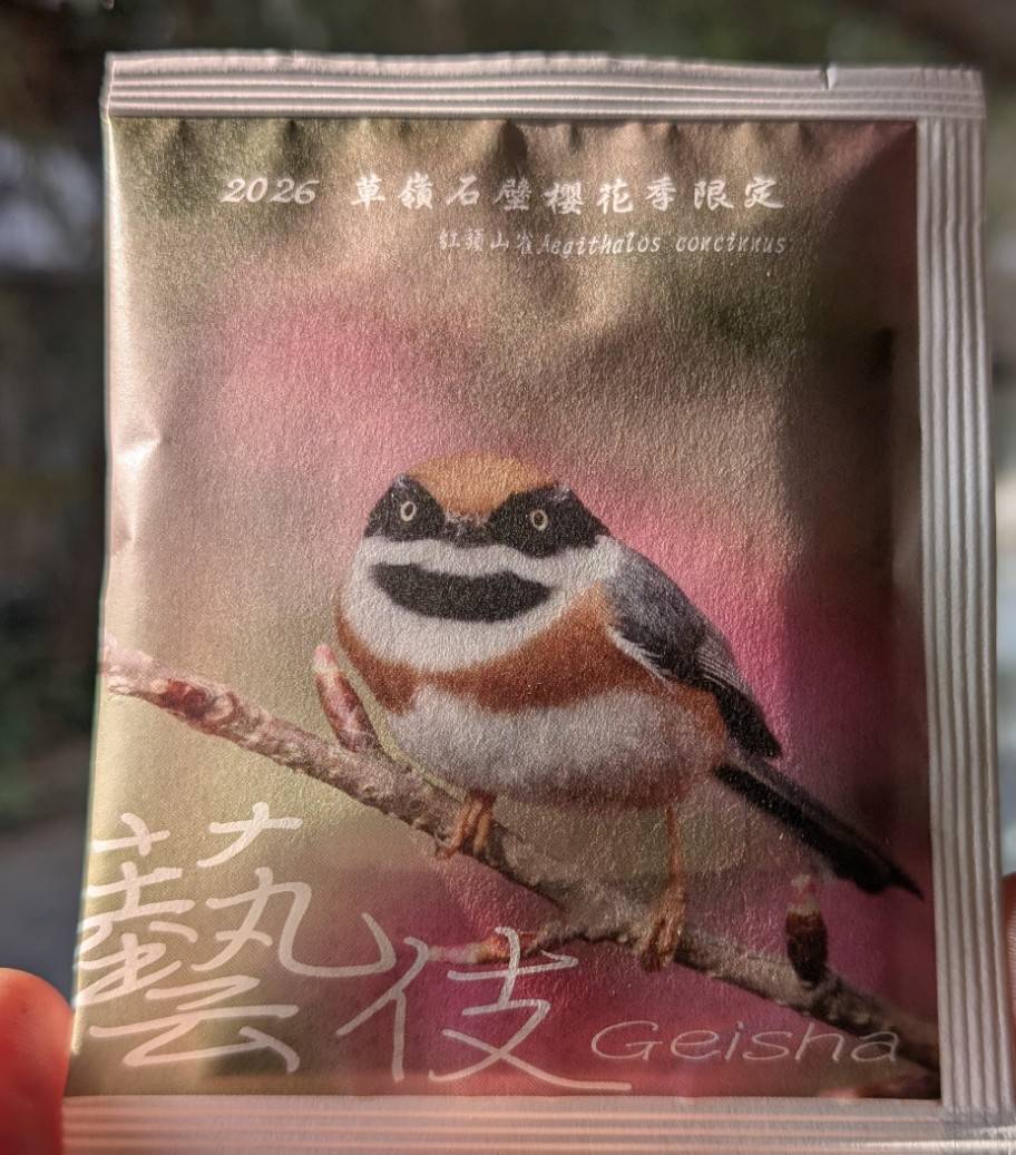 2026櫻花季限定藝伎 10g*3盒(15pcs)