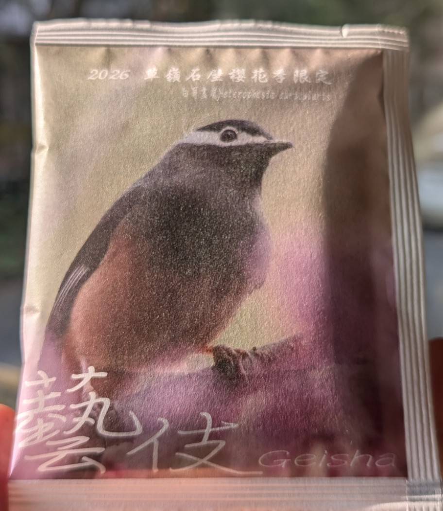 2026櫻花季限定藝伎 10g*3盒(15pcs)