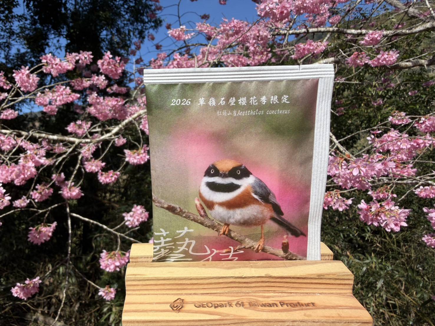 2026櫻花季限定藝伎 10g*3盒(15pcs)