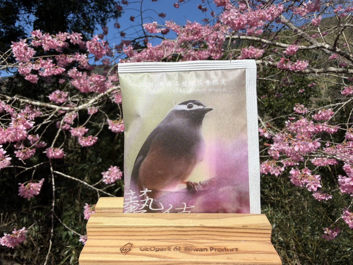 2026櫻花季限定藝伎 10g*3盒(15pcs)